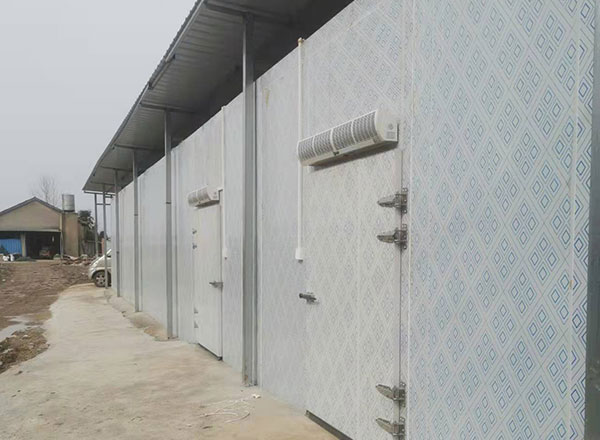 漢川甲魚養殖基地蘇總低溫冷藏及速凍庫